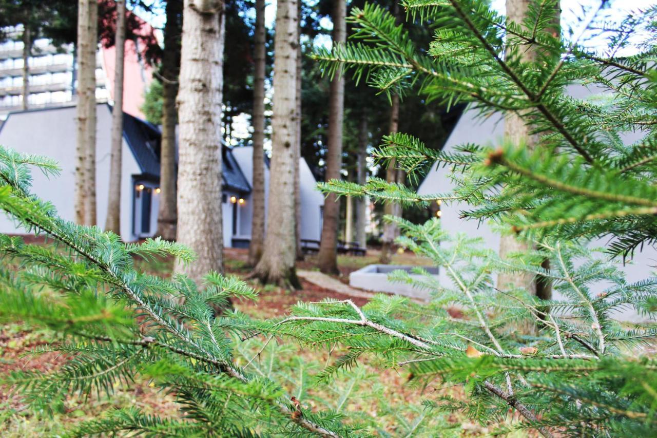 Boro Green Holiday Village Borovets Bagian luar foto