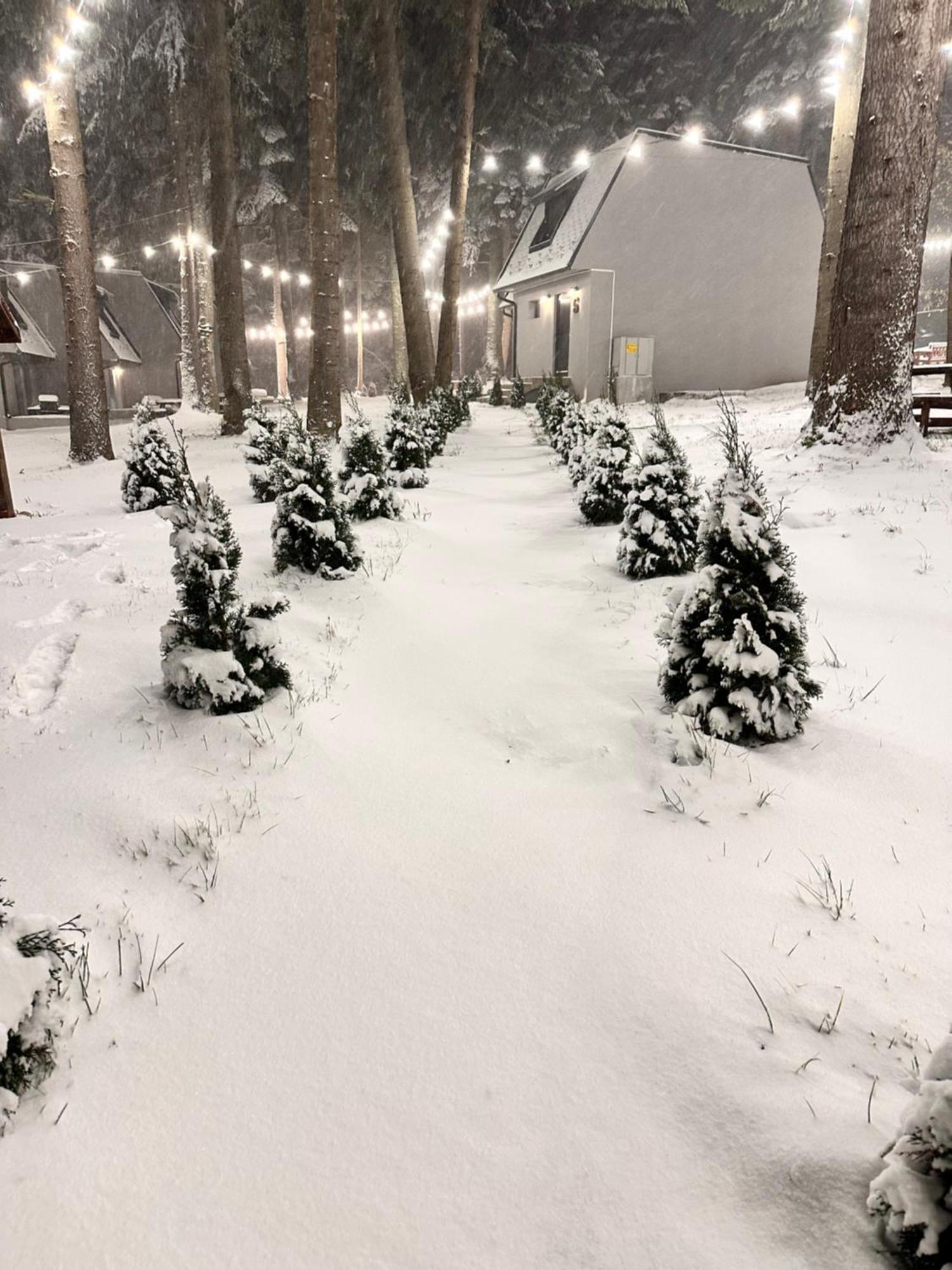 Boro Green Holiday Village Borovets Bagian luar foto
