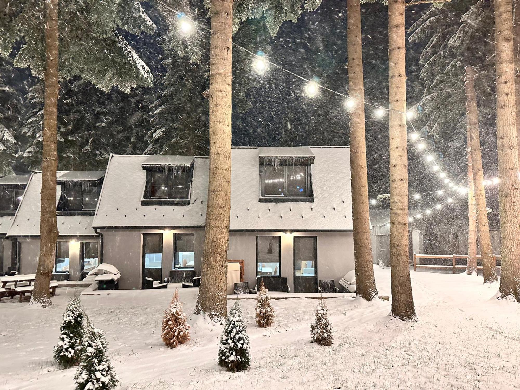 Boro Green Holiday Village Borovets Bagian luar foto