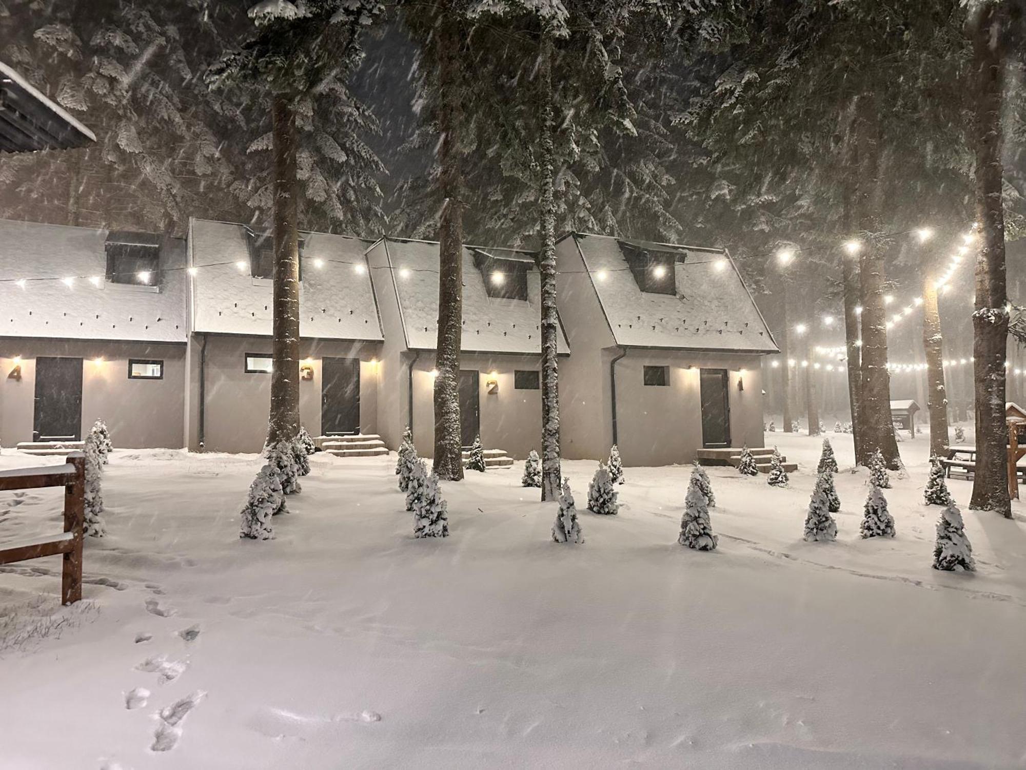 Boro Green Holiday Village Borovets Bagian luar foto