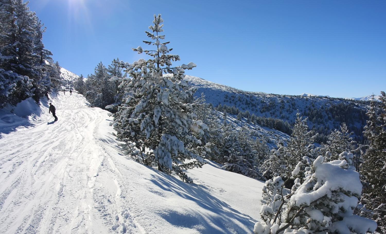 Boro Green Holiday Village Borovets Bagian luar foto