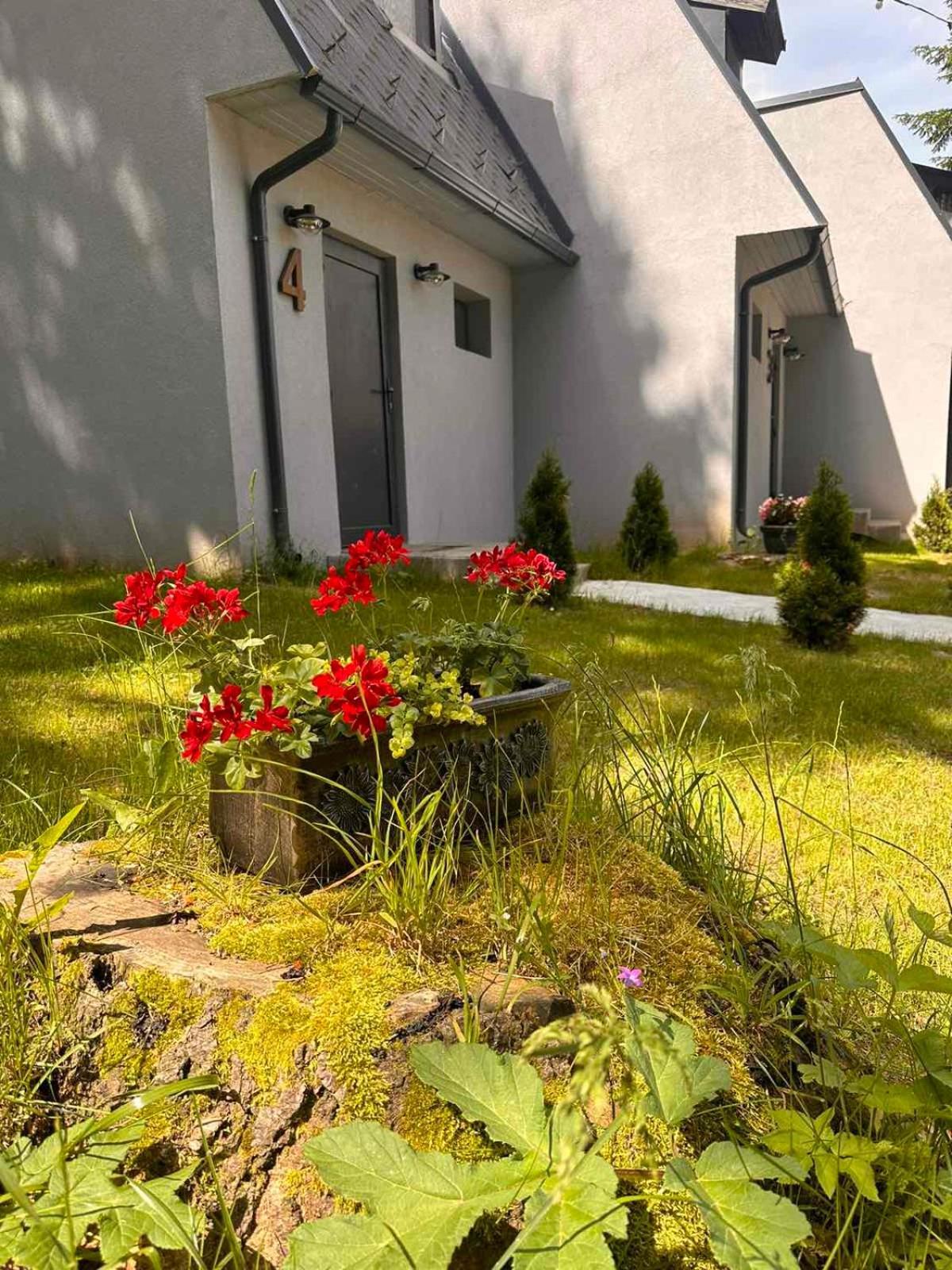 Boro Green Holiday Village Borovets Bagian luar foto