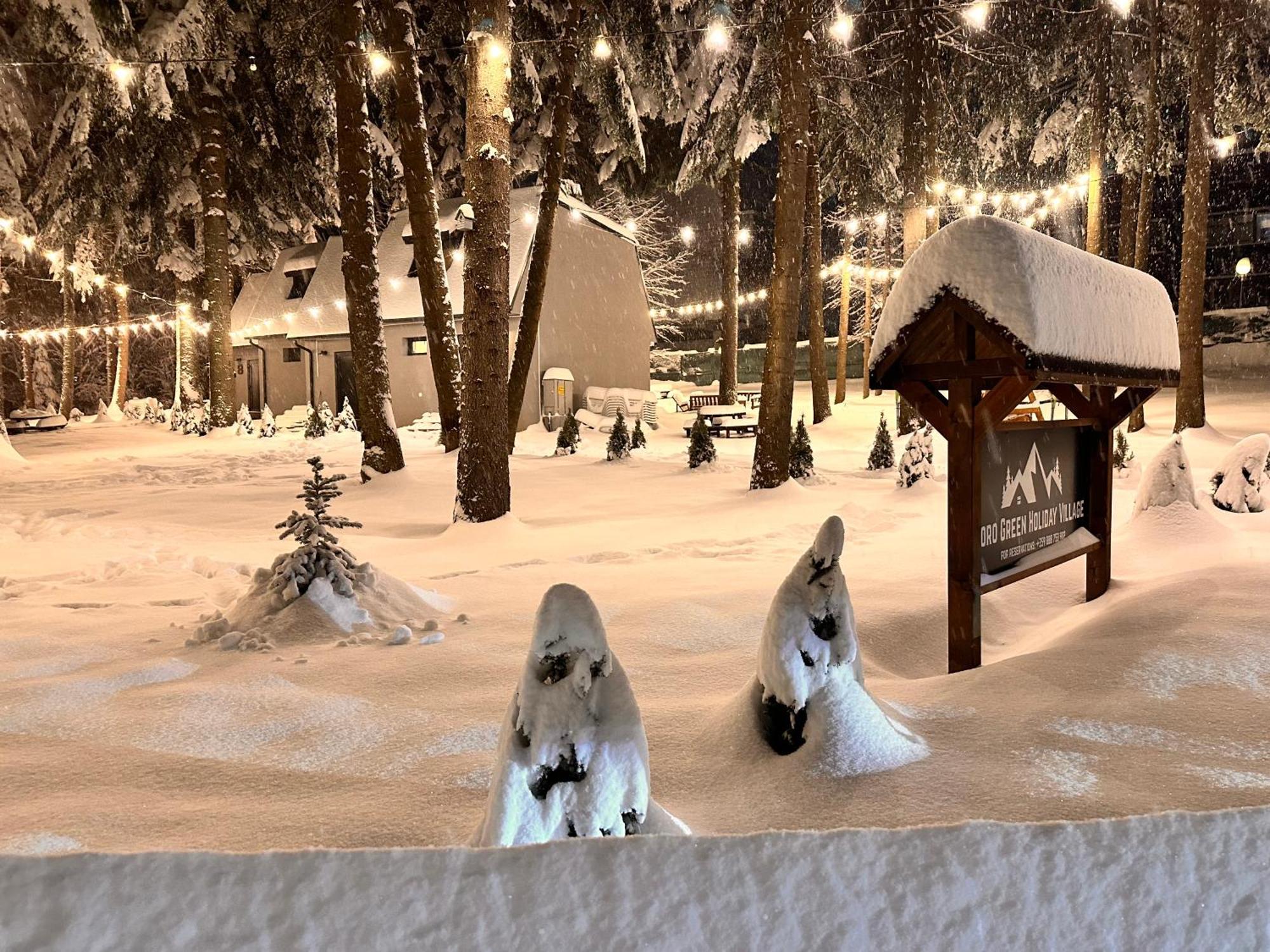 Boro Green Holiday Village Borovets Bagian luar foto